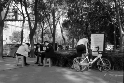 Casino Fiz App Mobile